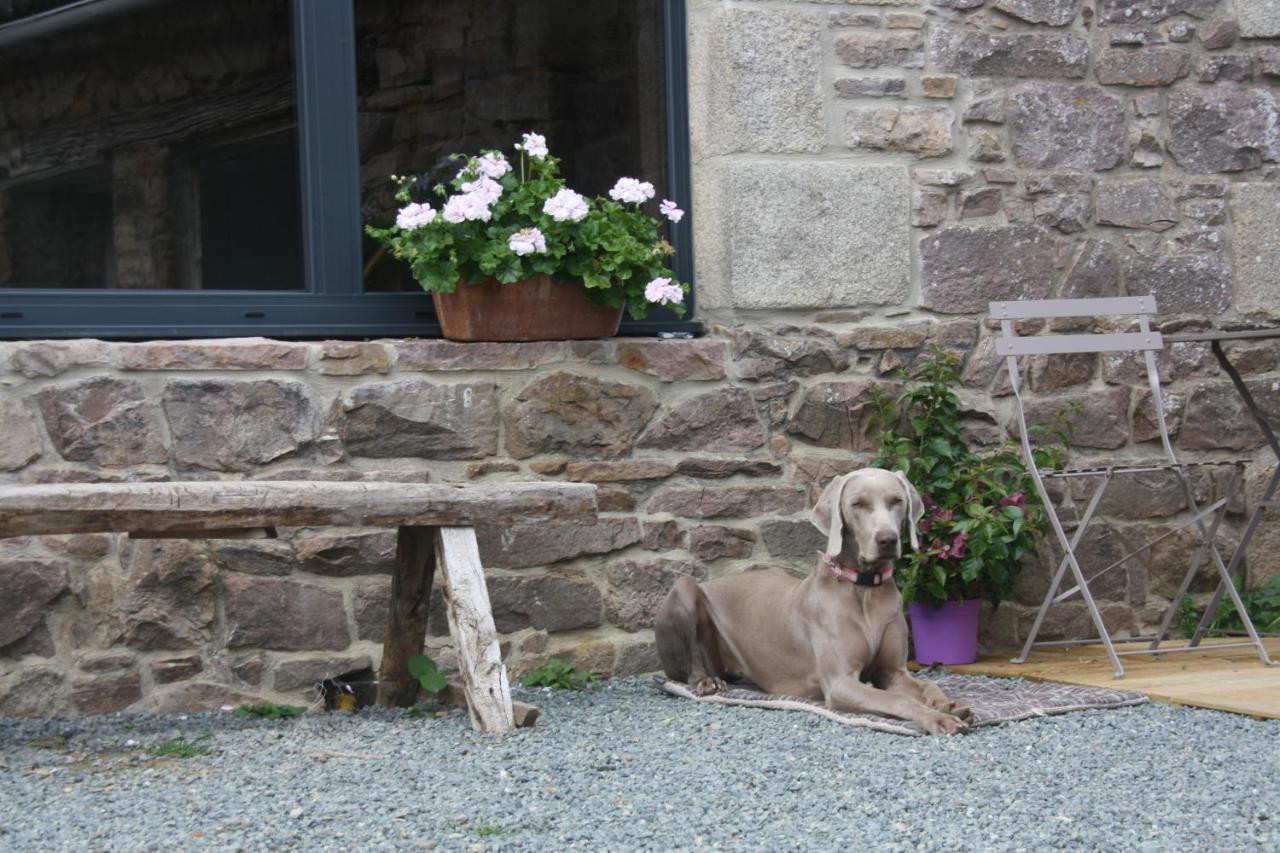 Ploezal L'Esperluete B&B 외부 사진